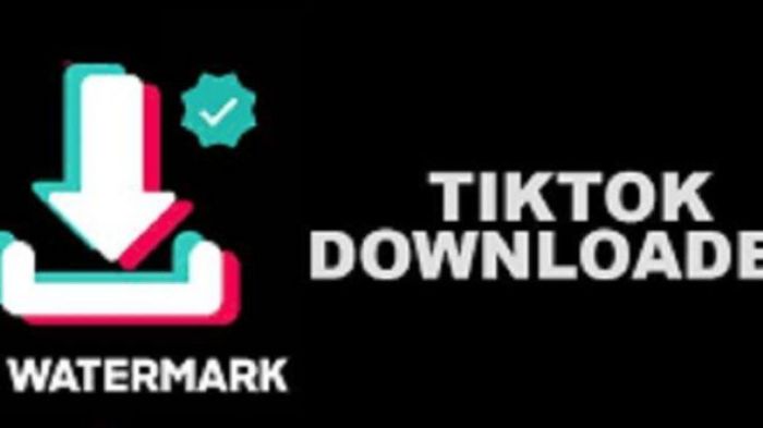 Cara Download Video TikTok Tanpa Watermark Menggunakan SnapTik Capcut (Sumber: Tribun))