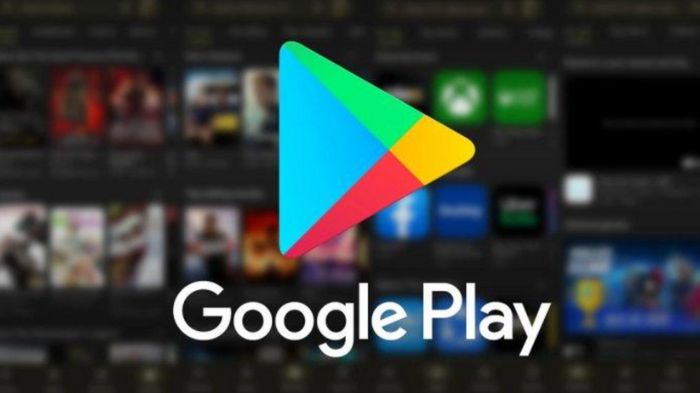 Cara Mudah Install Google Play Store dengan Mudah di Android dan PC (Sumber: Yandex)