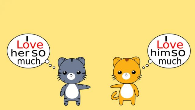 Gambar Anime Lucu Kucing (Sumber Fixabay)