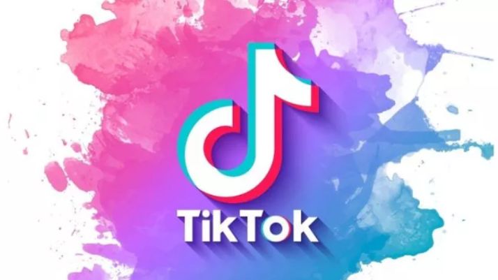 10 Cara Mudah Download Video TikTok Tanpa Watermark (Sumber: Yandex)