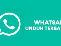 Cara Mudah Download dan Update WhatsApp Versi Terbaru